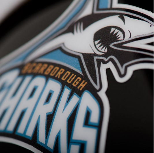 Hockey Helmet Decals Set