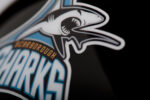 Helmet decal for Scarborough Sharks